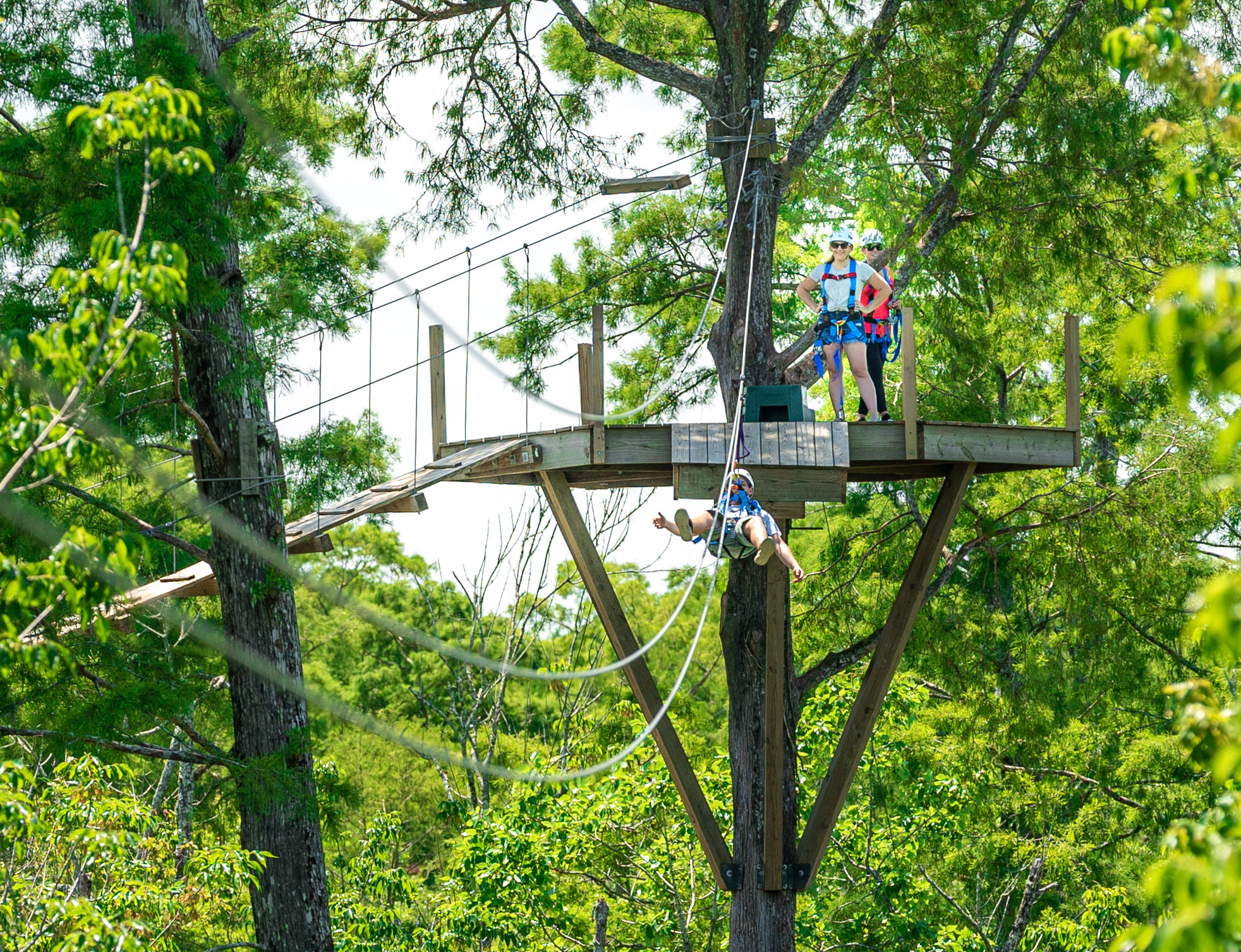 World’s 1st fully aquatic swamp zipline now open in LaPlace ;Zip NOLA