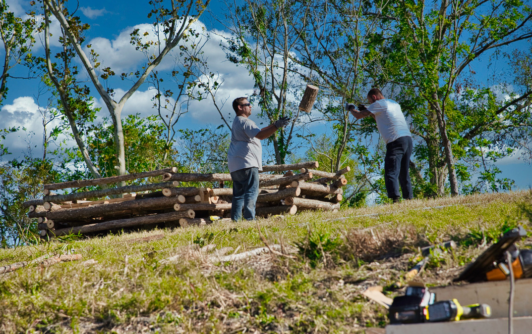 Blood, Sweat & Bonfires reignites in 2021; Animated blue crab design is