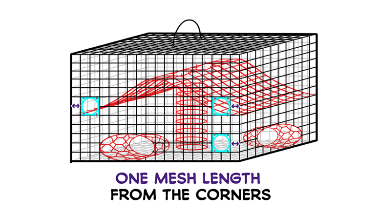 LDWF Reminds Recreational and Commercial Crabbers About Crab Trap Escape  Rings - L'Observateur
