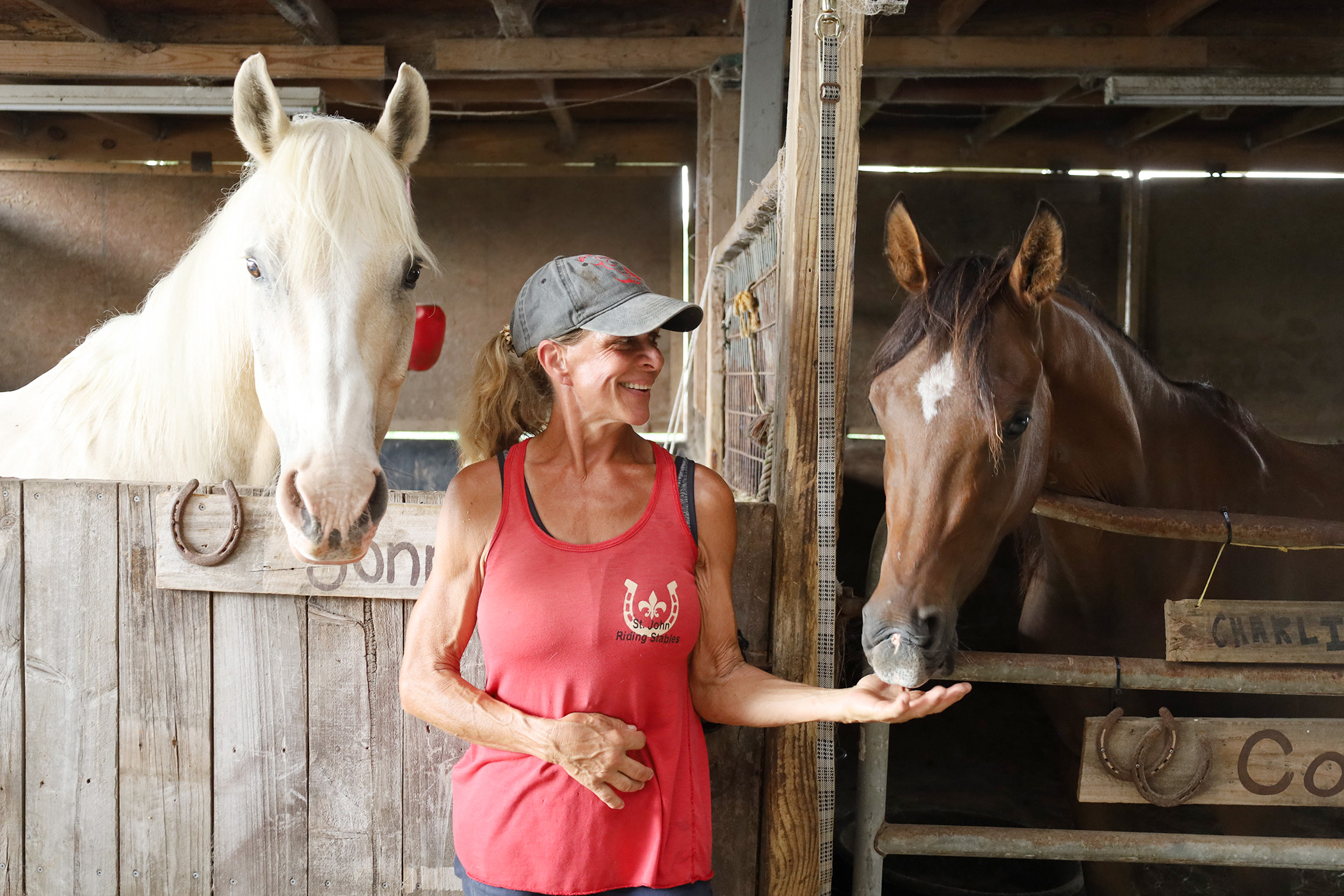 From slaughterhouse to sanctuary Rescued horses find new home at St